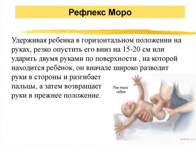 Что говорит о коликах у малышей доктор комаровский? колики у новорожденных: полезные советы, рекомендации