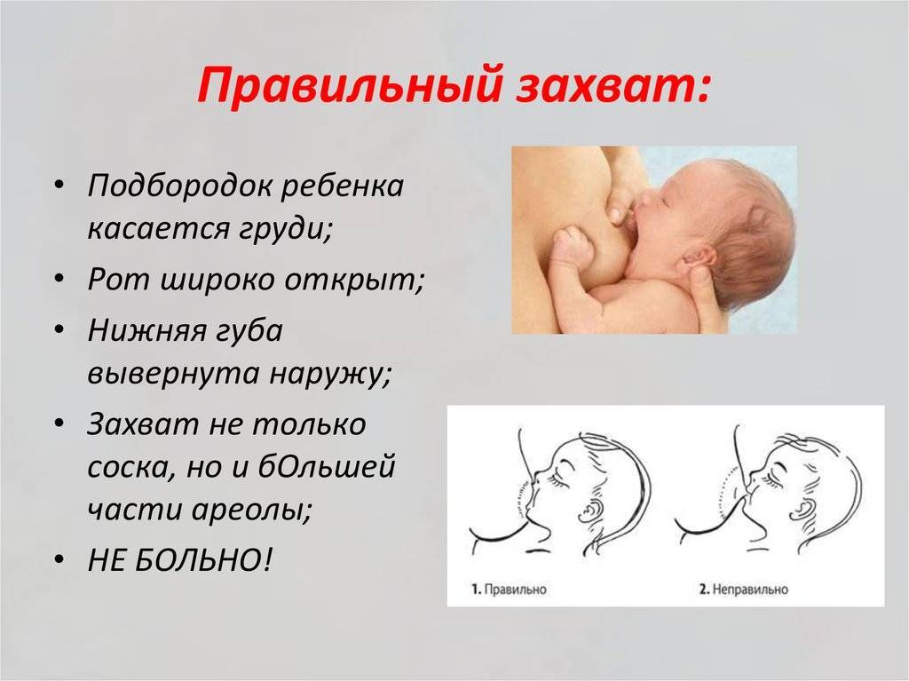 Как правильно кормить новорожденного грудным молоком | lisa.ru
