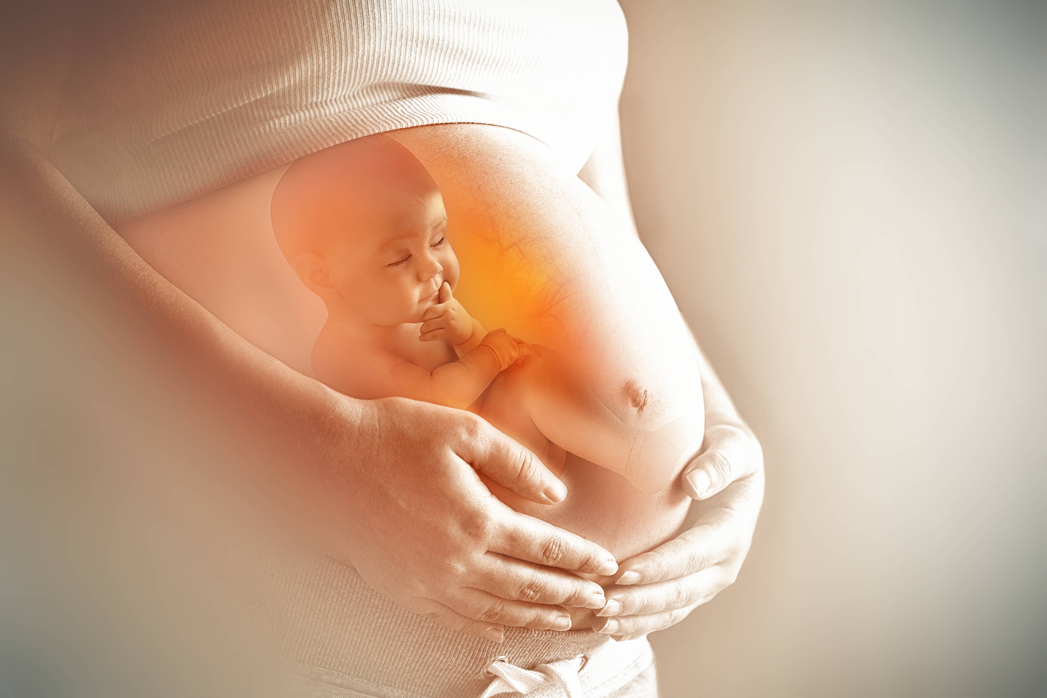 15 неделя беременности: признаки и ощущения женщины, симптомы, развитие плода