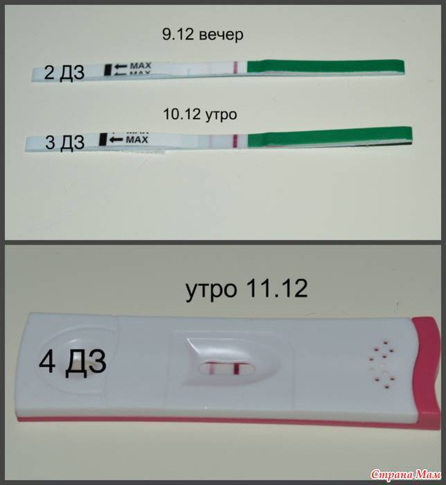 Когда лучше делать тест на беременность: на какой день тест показывает результат / mama66.ru
