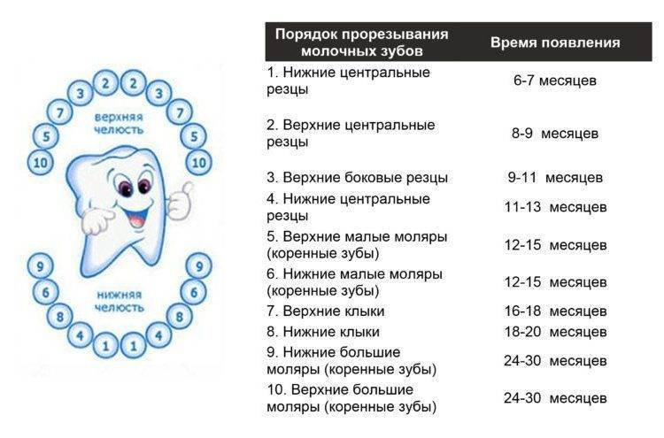 Температура при прорезывании зубов у детей: симптомы, сколько дней длится высокая температура