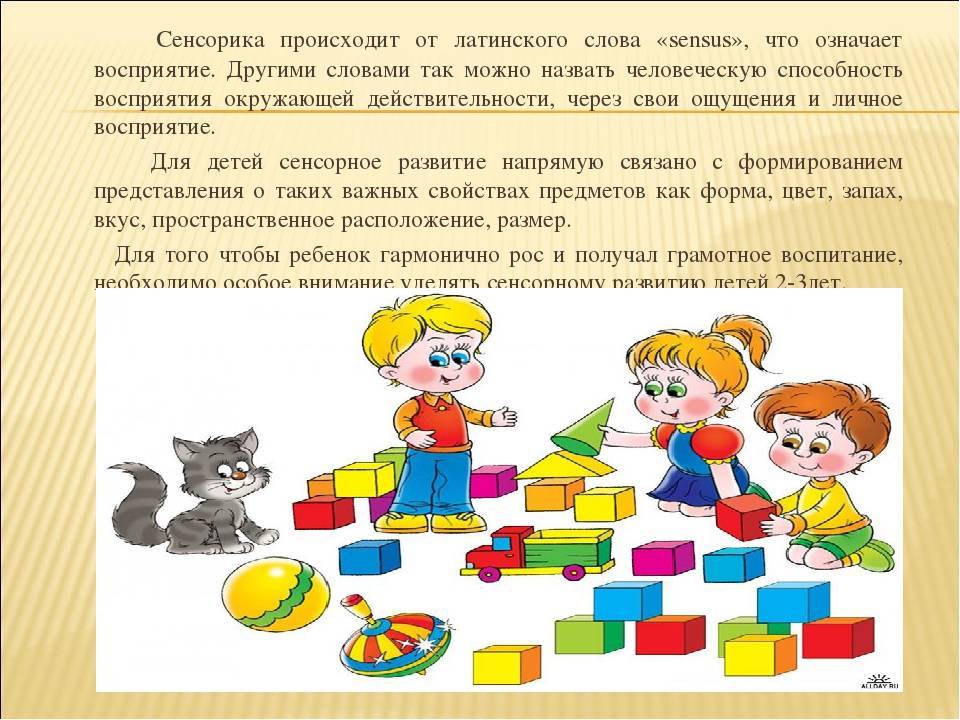 Сенсорное развитие и воспитание детей 2-3 лет: дидактические игры, занятия по сенсорике