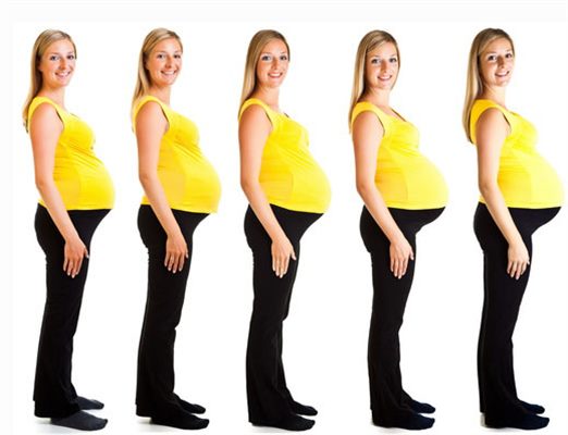 Третья беременность живот растет. Рост живота. Как растет живот. Рост живота при беременности. Живот по неделям беременности.