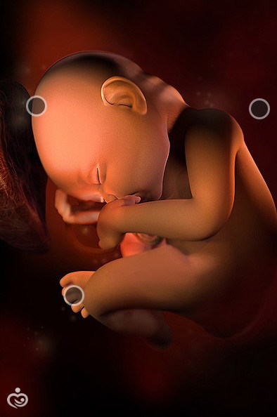 27 неделя беременности: развитие плода, состояние женщины