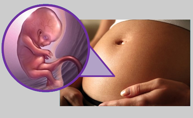 8 неделя беременности: что происходит с малышом и мамой и почему тянет низ живота?