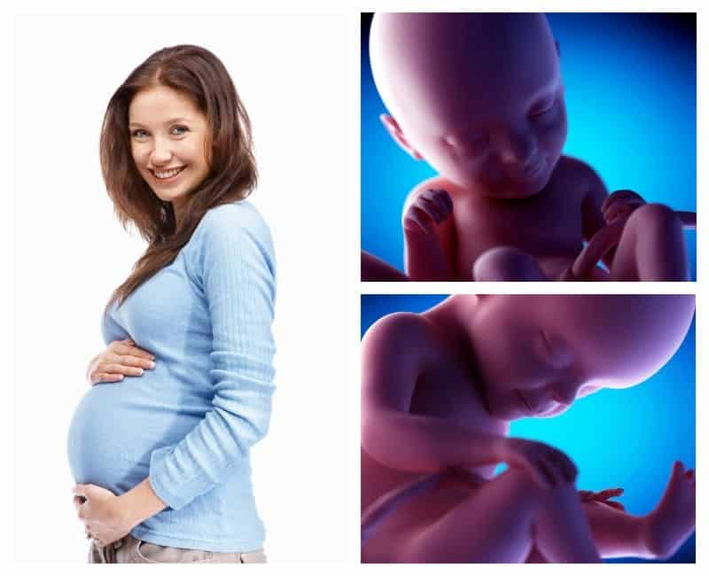 Беременность 16 недель – развитие плода и ощущения женщины