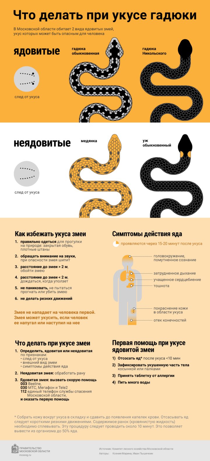 Первая помощь при укусе змеи: что нужно делать, а чего нельзя