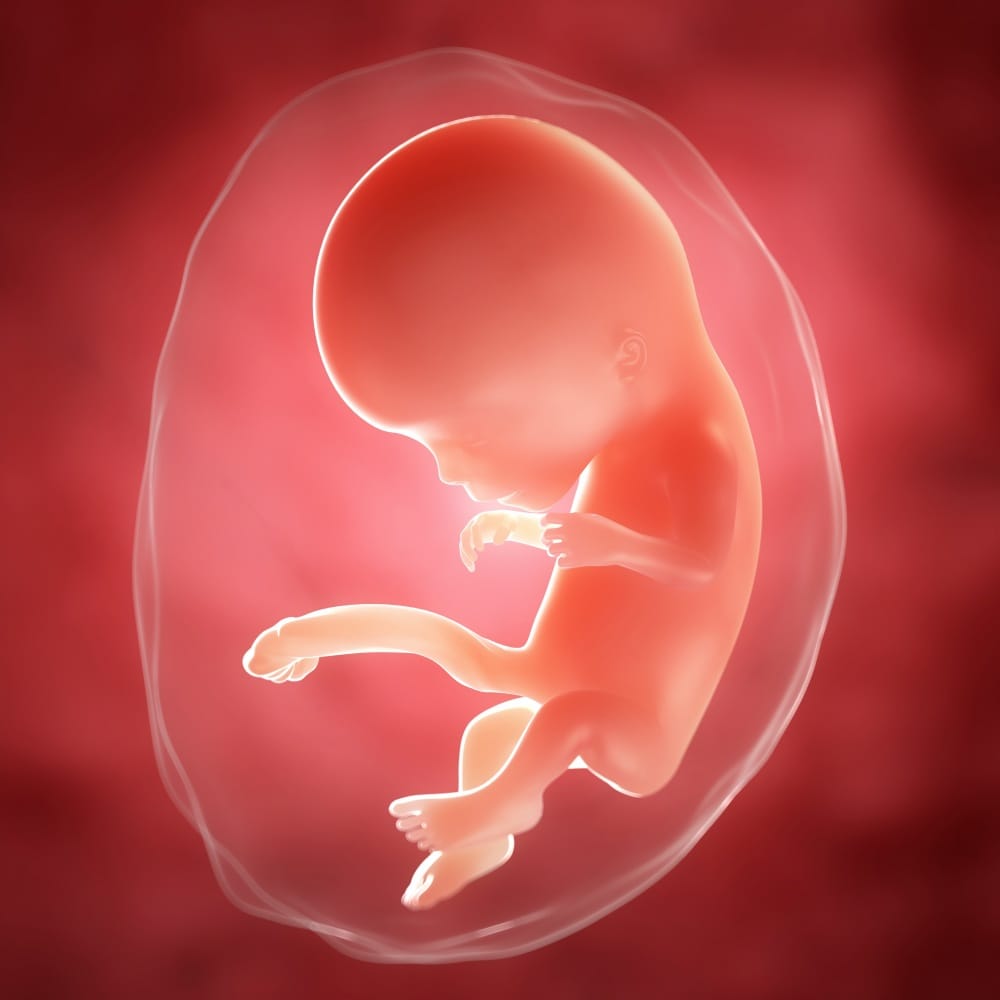 Что происходит в организме женщины на 10 и 11 неделе беременности? | vseproberemennost.ru