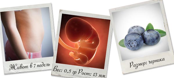 Что происходит в организме женщины на 10 и 11 неделе беременности?