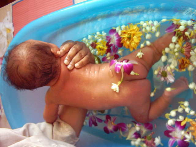 Ванночка от высыпаний у новорожденного: череда для купания, и как ее правильно заваривать