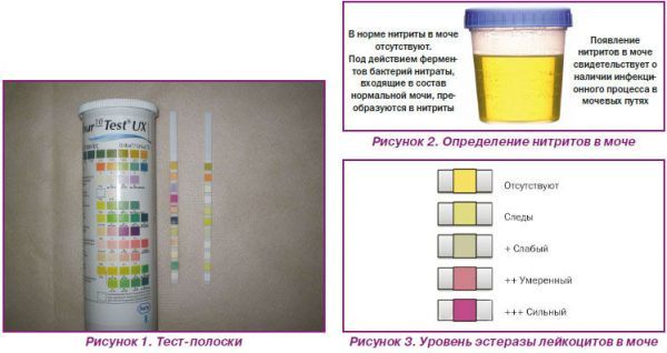 Народные методы определения беременности: как определить беременность на ранних сроках / mama66.ru