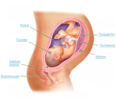 39 неделя беременности: предвестники родов и боли в животе