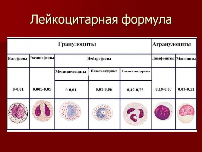 ✅ анализ крови с лейкоформулой расшифровка у детей норма в таблице - денталюкс.su