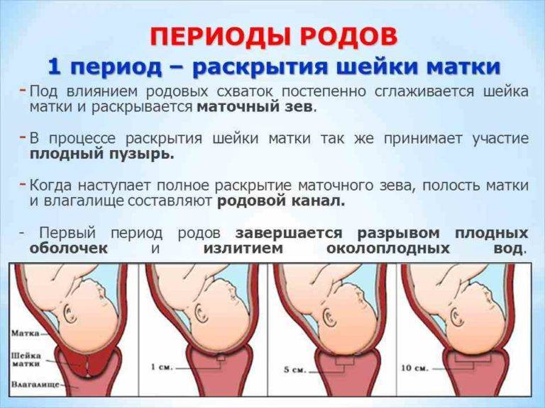 Но-шпа перед родами: зачем назначают препарат / mama66.ru