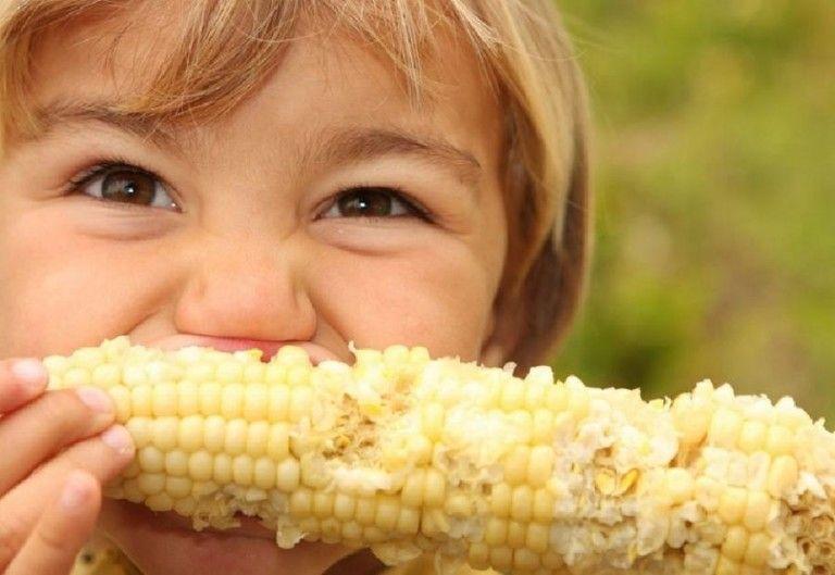 Вареная кукуруза для мам и детей: польза или вред+ рецепт