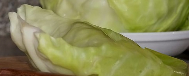 “бабушкины методы”: как правильно делать компресс из капустного листа при лактостазе?