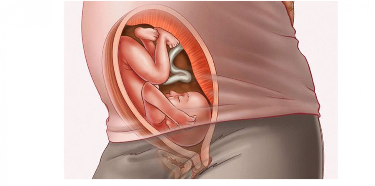 27 неделя беременности: развитие плода и его шевеления