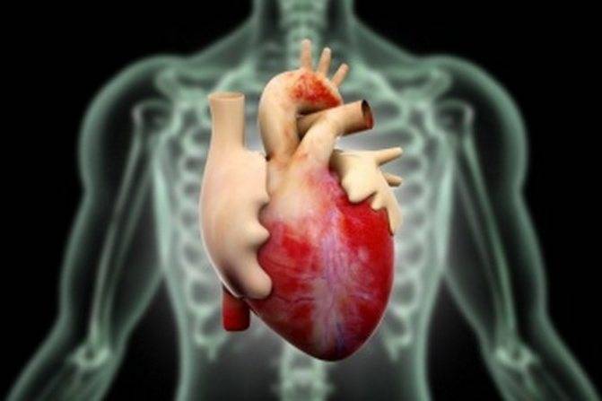Функциональные кардиопатии - библиотека доктора