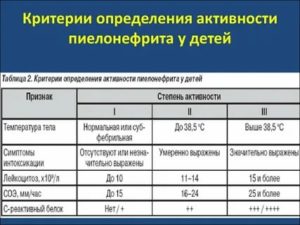 Пиелонефрит у ребёнка: с чего начинается, этапы оказания помощи | онлайн-доктор для всей семьи | prof-medstail.ru