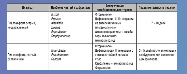 Лечение пиелонефрита лекарства и препараты