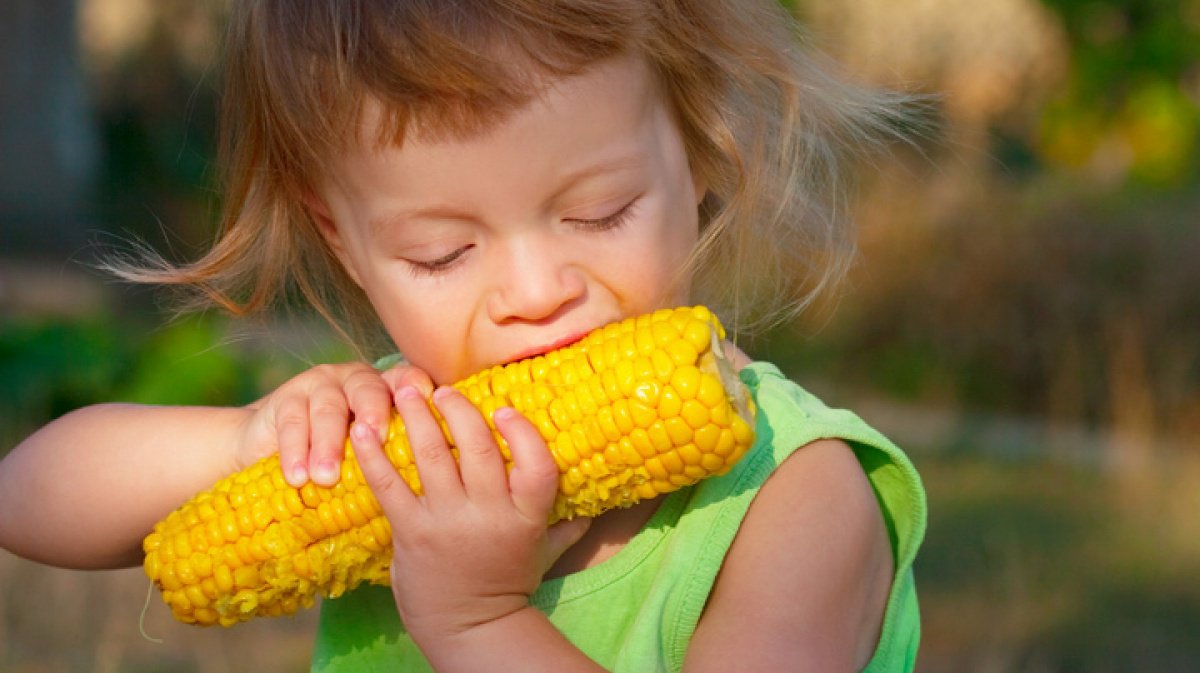 С какого возраста можно давать кукурузу ребенку