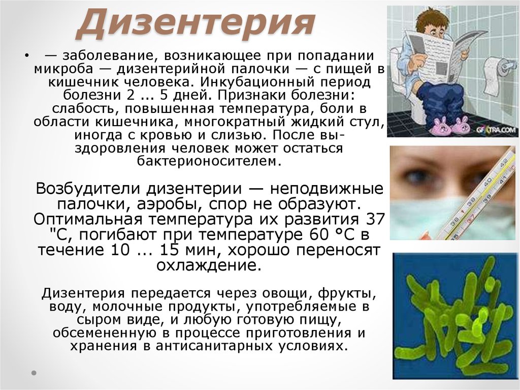 Симптомы, лечение и профилактика дизентерии у детей | dlja-pohudenija.ru