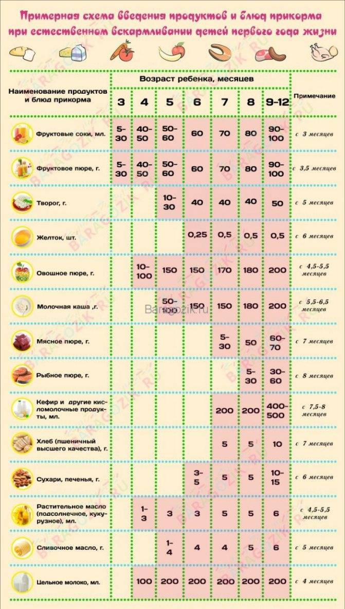 Прикорм ребенка - таблица прикорма детей до года на грудном вскармливании и искусственном | азбука здоровья
