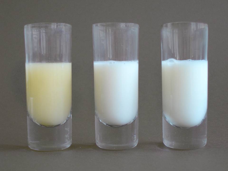 Что сделать чтобы перегорело молоко у кормящей мамы народными средствами?