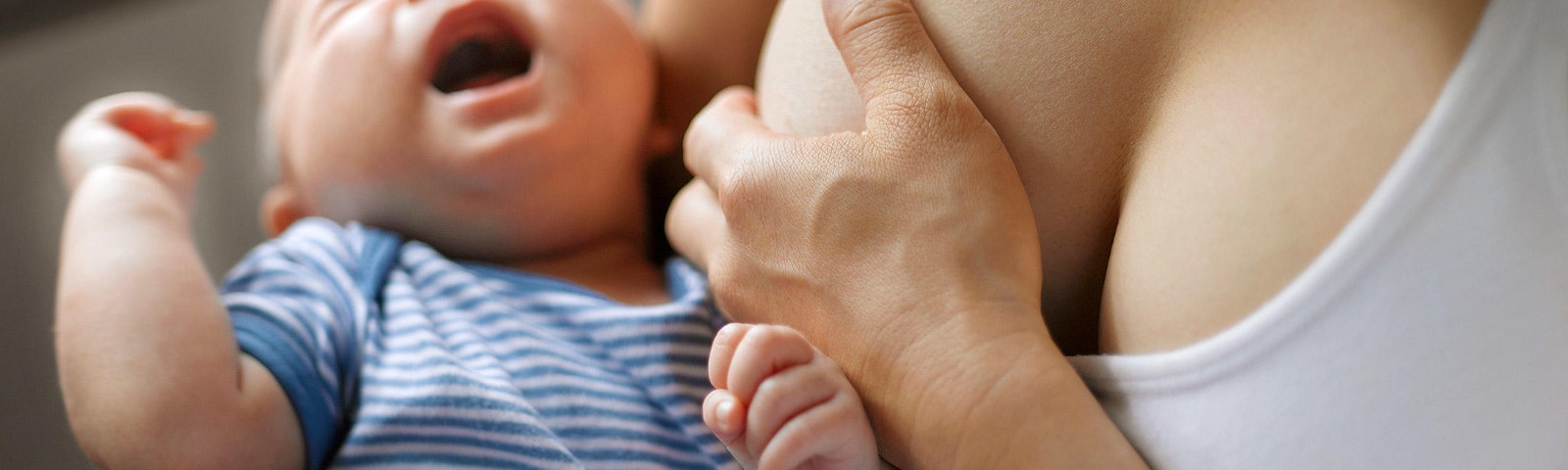 Как отучить ребенка от грудного вскармливания: когда лучше отлучать от груди малыша / mama66.ru