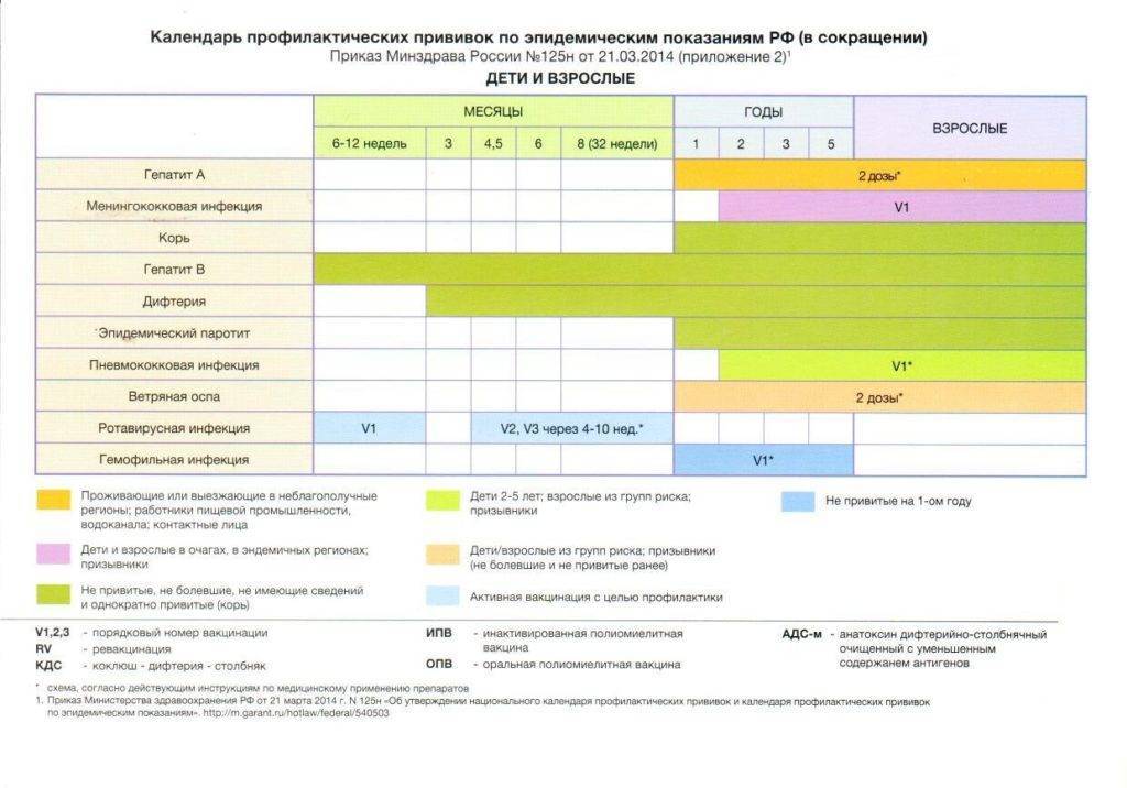 От каких недугов нужно привить ребенка: список и график обязательных прививок в россии