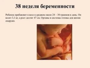 39 неделя беременности (48 фото): предвестники родов у повторнородящих и первородящих, что происходит с малышом и мамой, особенности при второй беременности, секс, тошнота, понос и изжога, отеки ног и запоры, тянет поясницу на 39 акушерской неделе