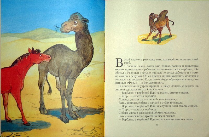 Как объяснить ребенку 3-5 лет зачем верблюду горбы