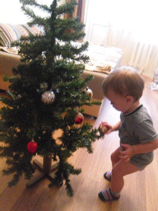 Когда нужно, принято разбирать елку после нового года: народные приметы. можно ли убирать новогоднюю елку в рождество, после рождества? сколько должна стоять живая елка дома после нового года?