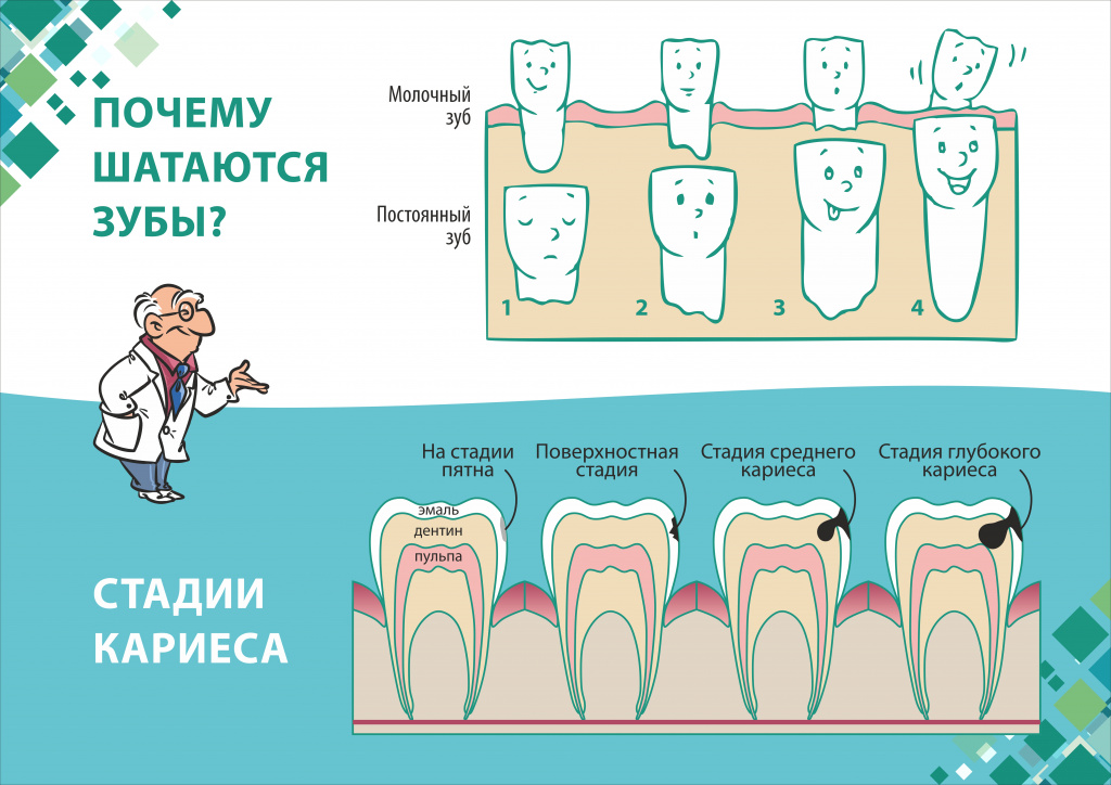 Когда выпадают молочные зубы у детей: 4 врачебных запрета