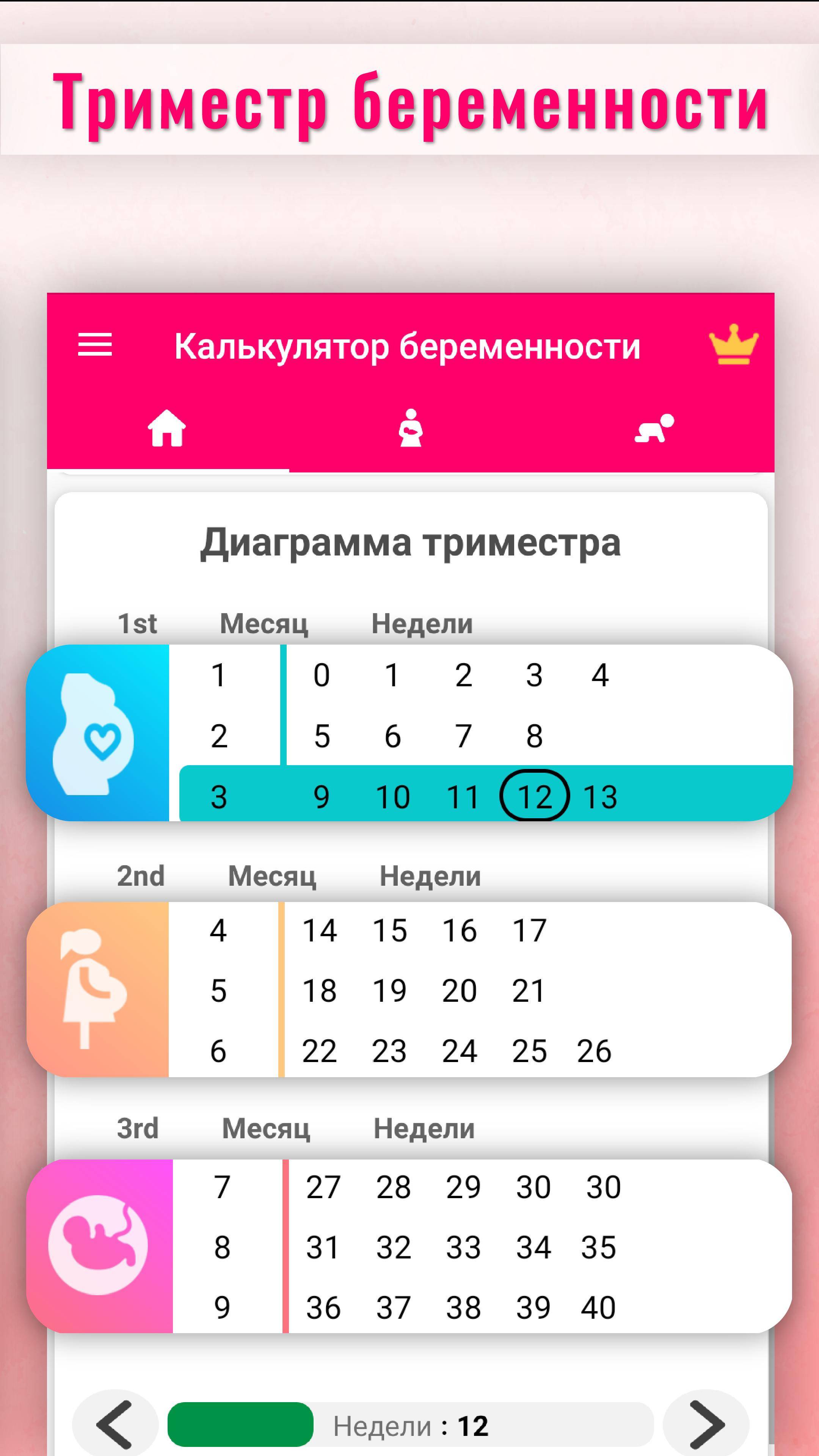Календарь беременности с расчетом срока по неделям и дням