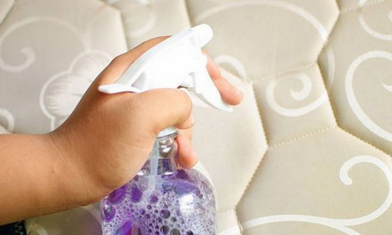 Как убрать запах мочи с дивана