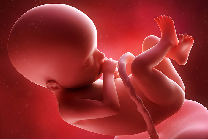 Гипоксия плода при беременности | уроки для мам