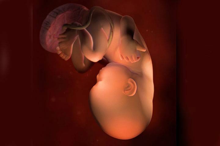 36 неделя беременности: предвестники родов у повторнородящих, что происходит
