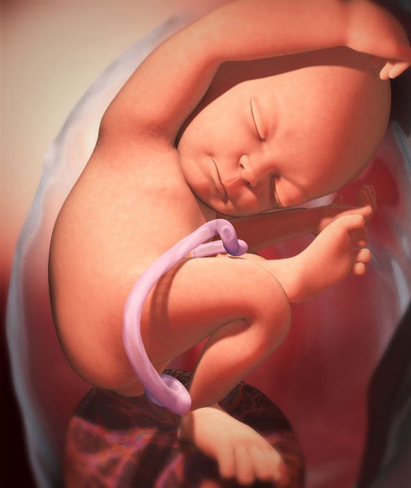 9 месяц беременности: предвестники, признаки и начало родов