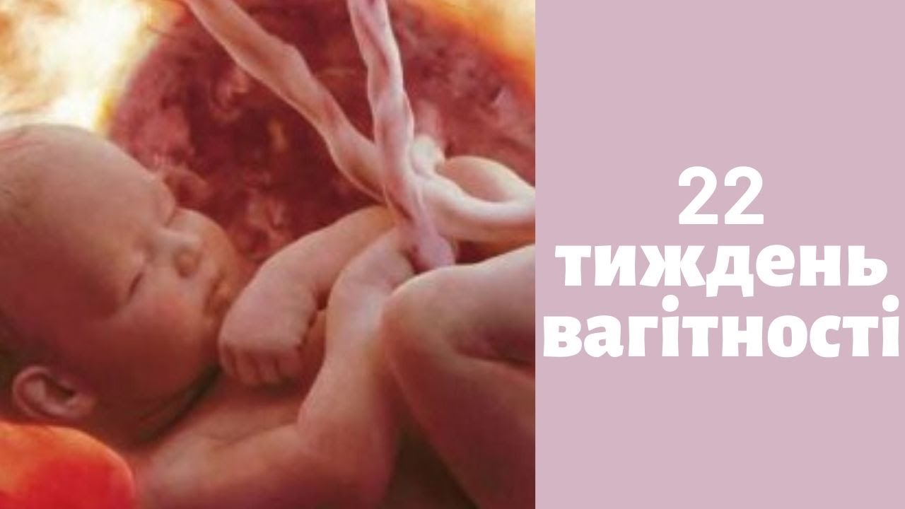 22 неделя беременности: что происходит? норма и возможные патологии