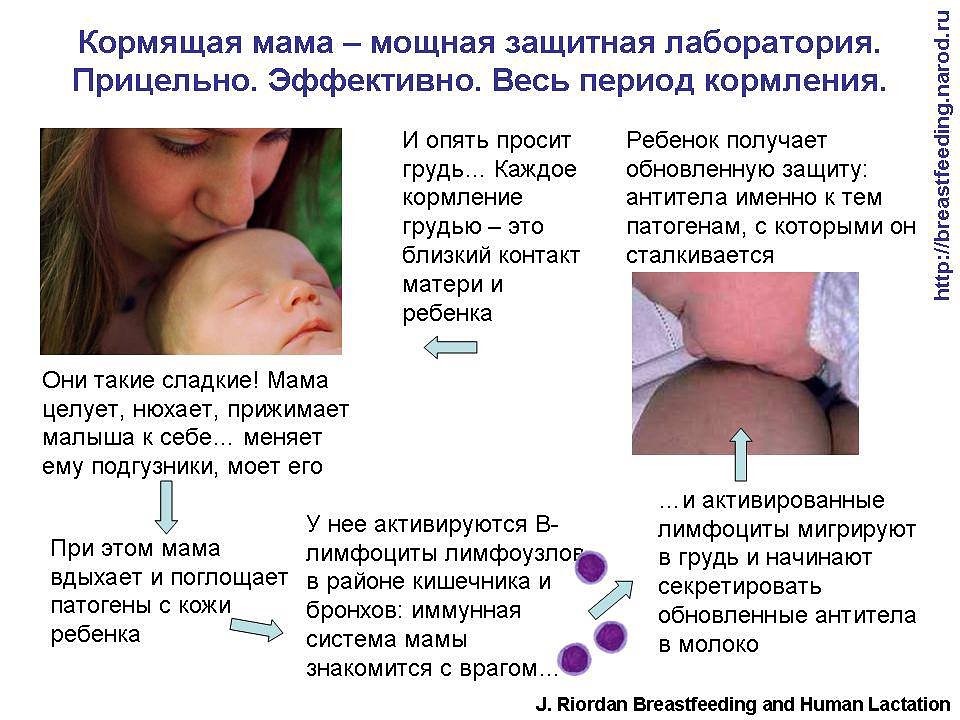 Инструкция к “Супрастину” при грудном вскармливании: показания и дозировка для кормящих мам