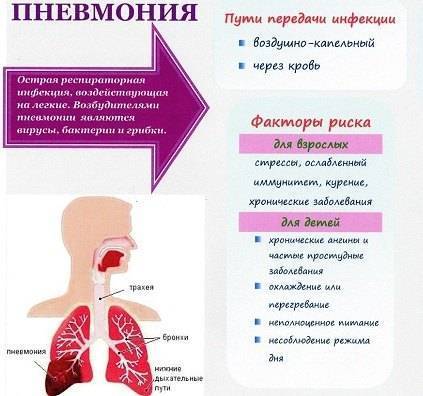 Пневмония у детей: симптомы и лечение воспаления легких у детей в домашних условиях