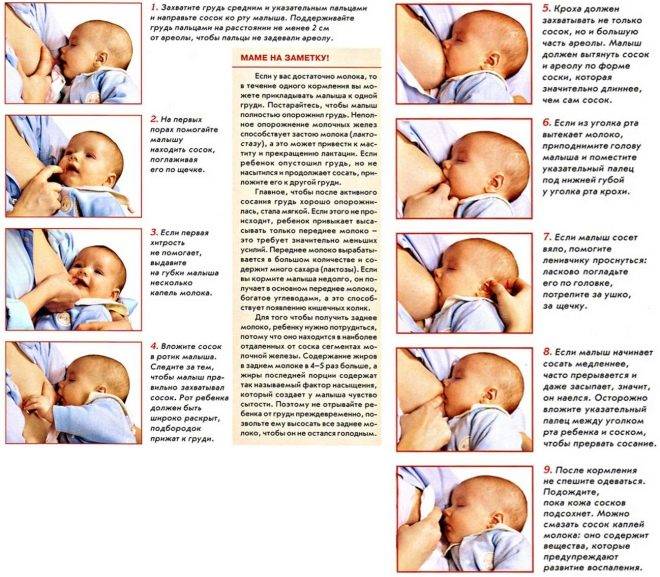 Как кормить новорожденного грудным молоком - всё о грудничках