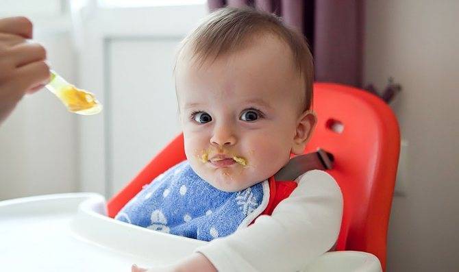 Прикорм ребенка безмолочной кашей в 6 месяцев: что делать если отказывается есть