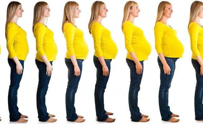 Что происходит на сроке в 2 недели беременности с женщиной и ребенком?