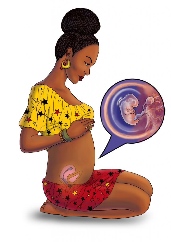 26 неделя беременности - что происходит с малышом и мамой? развитие ребенка