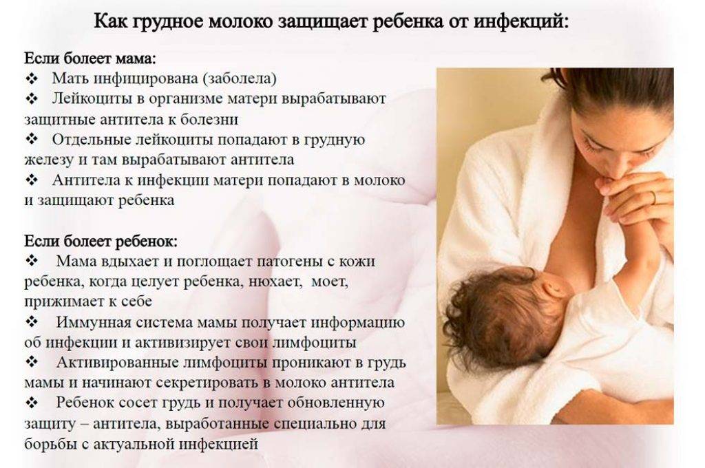 Грудное вскармливание после года - mama.ru