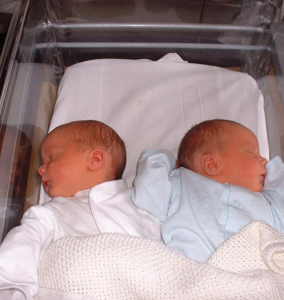 Как родить двойню: зачать, чтобы родились близнецы