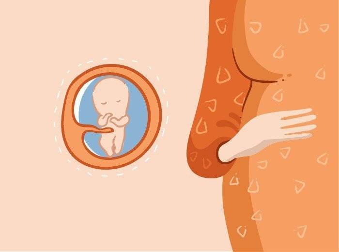 Признаки беременности на 3-й неделе после зачатия