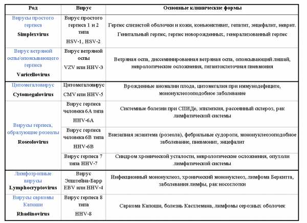 Герпес 6 типа. у детей: фото, симптомы и лечение, чем лечить сыпь в горле, комаровский о последствиях | pro-herpes.ru
